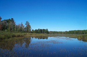 Blue sky and trees reflecting off of still water